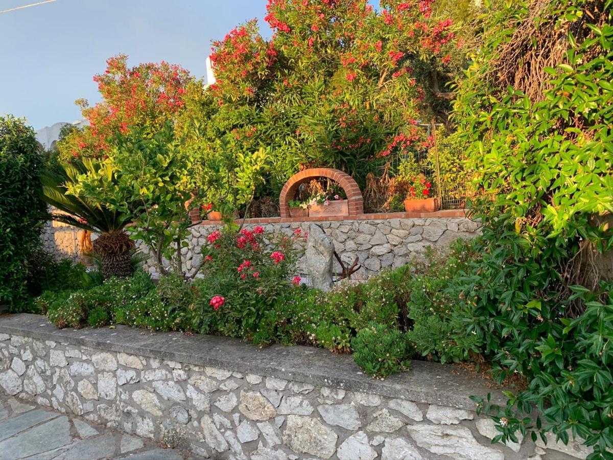 Il Merlo Anacapri  Exterior photo