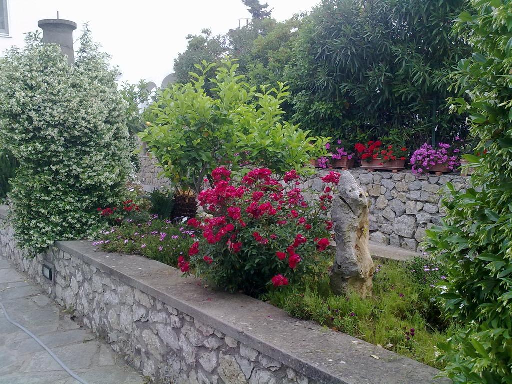 Il Merlo Anacapri  Exterior photo
