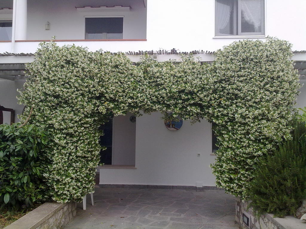 Il Merlo Anacapri  Exterior photo